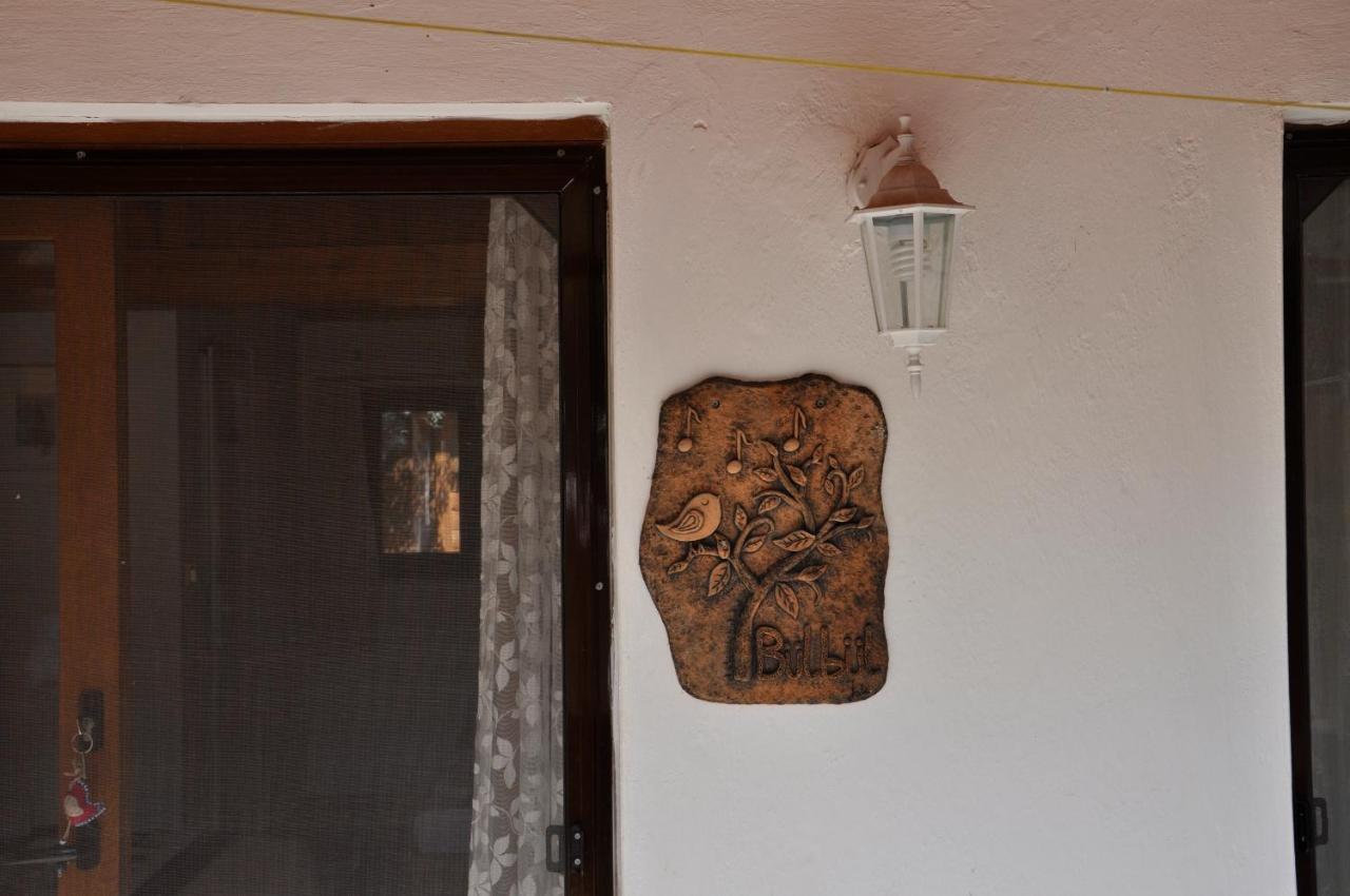 Cirali Kus Yuvasi Panzió Kültér fotó