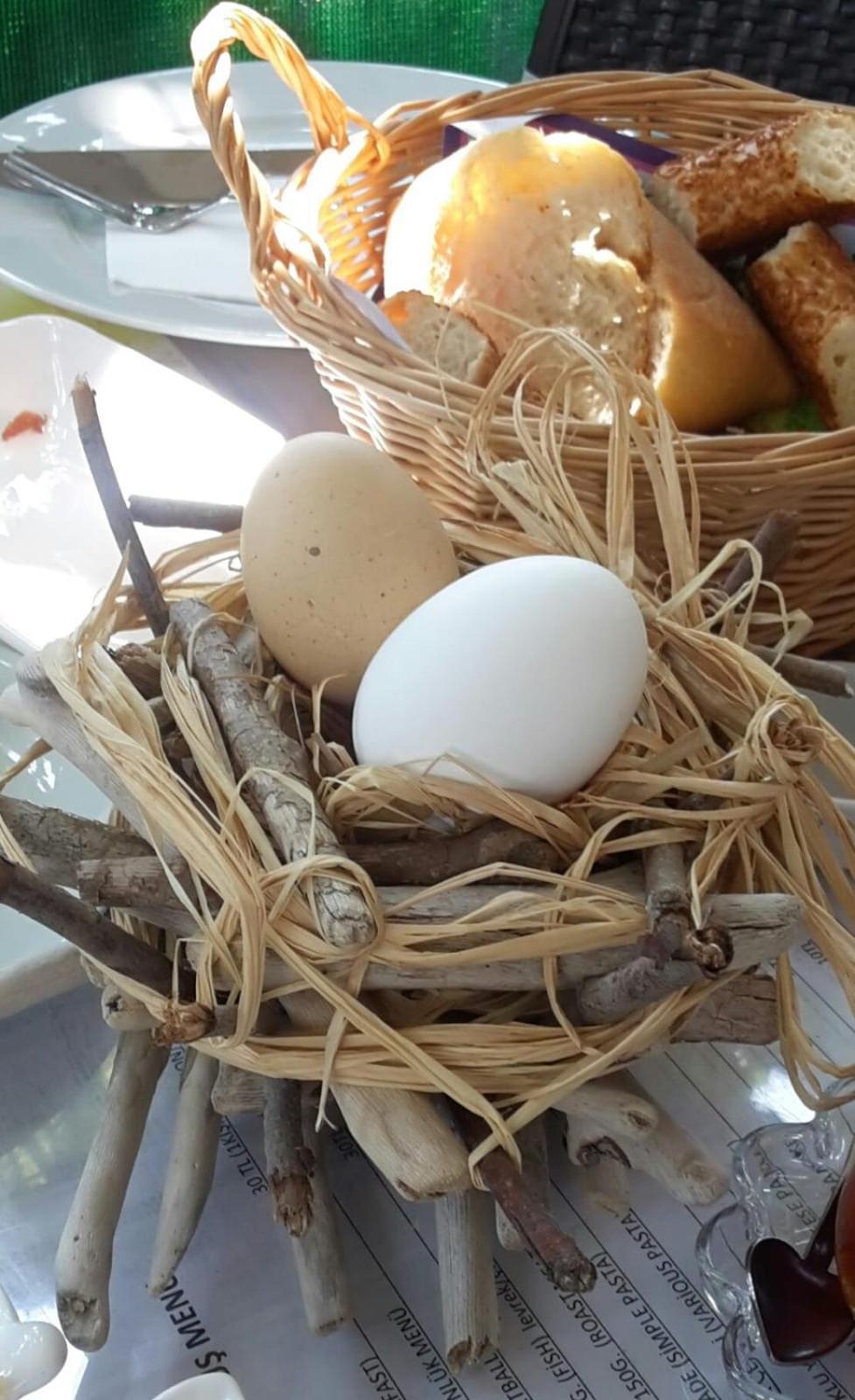 Cirali Kus Yuvasi Panzió Kültér fotó